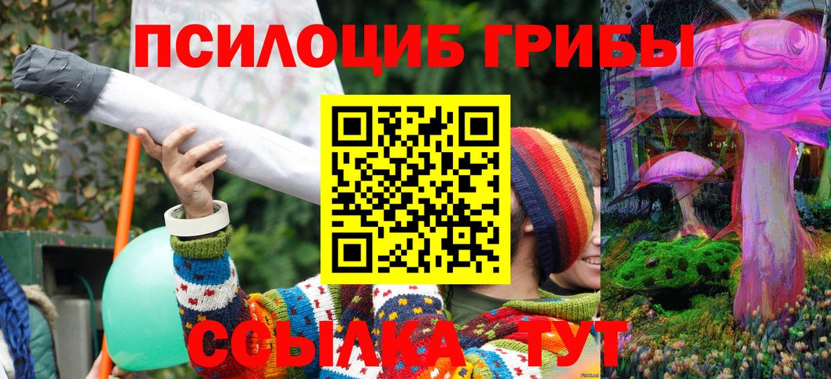Нефтекамск  купить   Псилоцибиновые грибы GOLDEN TEACHER  Вход с VPN  Псилоцибиновые грибы мухоморы 